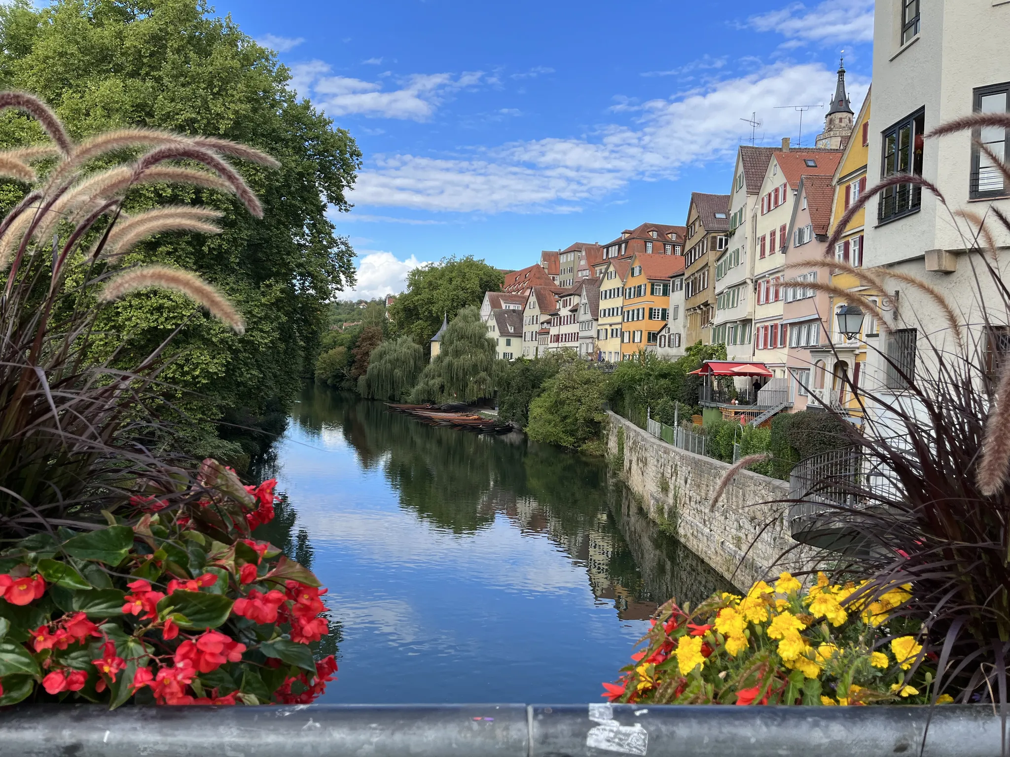 The Neckarfront seen from the bridge: punts moored under the willows, the row of painted old-town houses along the water