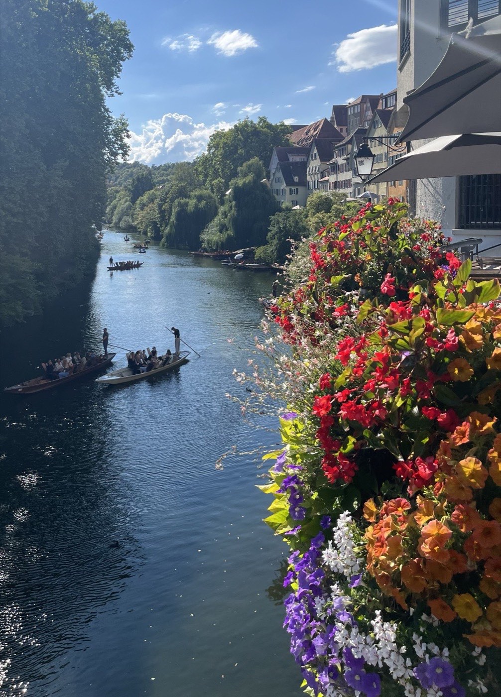 Punting boats on the Neckar below the old town houses, seen past a balcony flower box