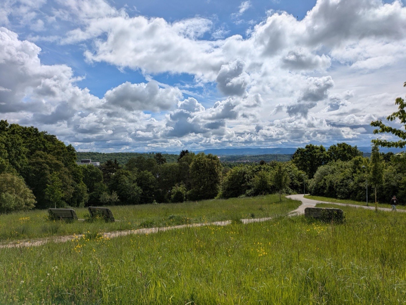A meadow with stone benches and a gravel path, looking out over wooded hills under tall clouds